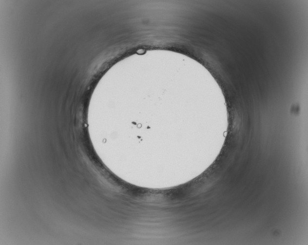 X0000113150685200910161221