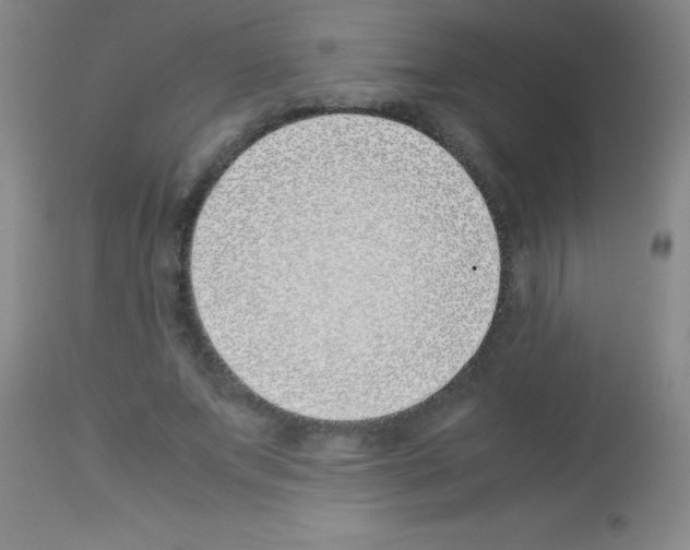 X0000113150687200910161221