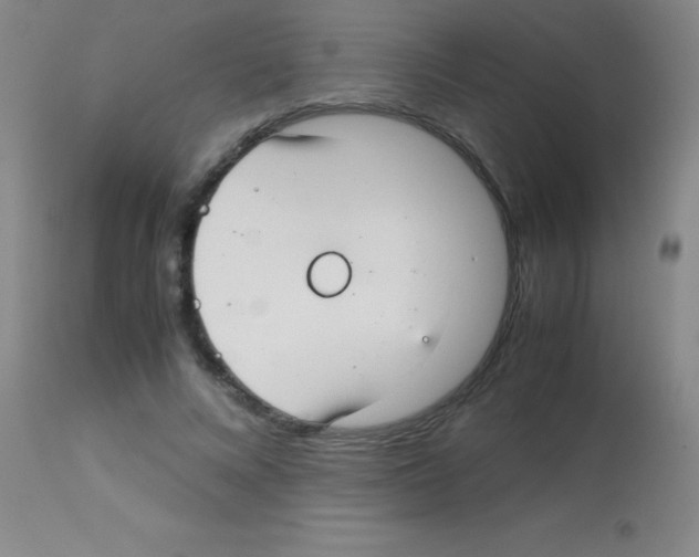 X0000113150688200910161221