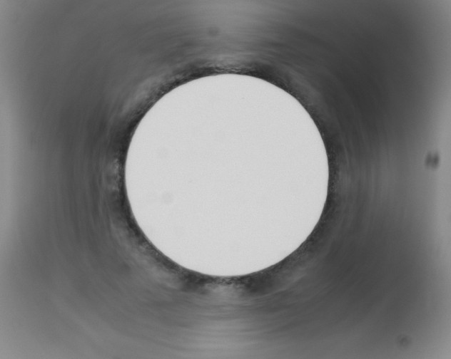 X0000113150689200910161221