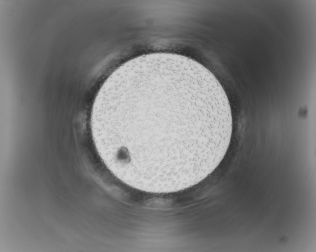 X0000113150691200910161221