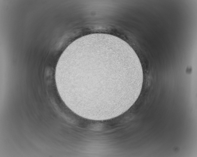 X0000113150695200910161221