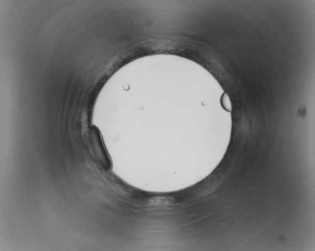 X0000113150700200910161220