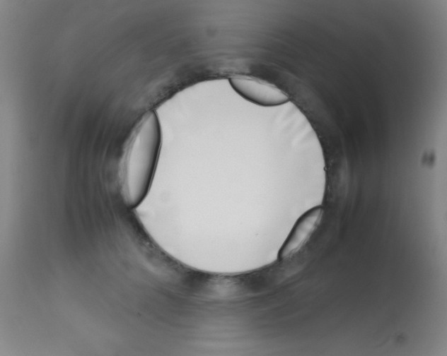 X0000113150704200910161220