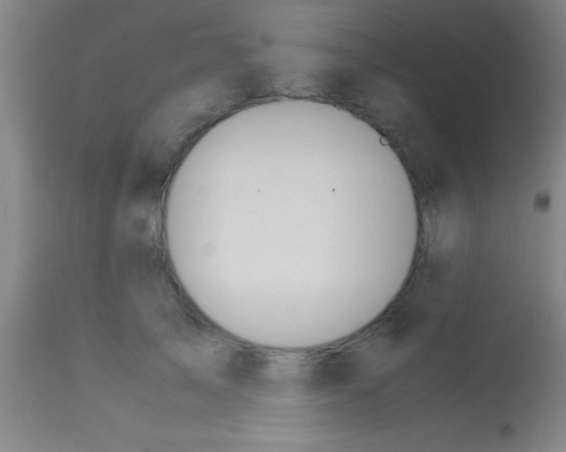 X0000113150705200910161220