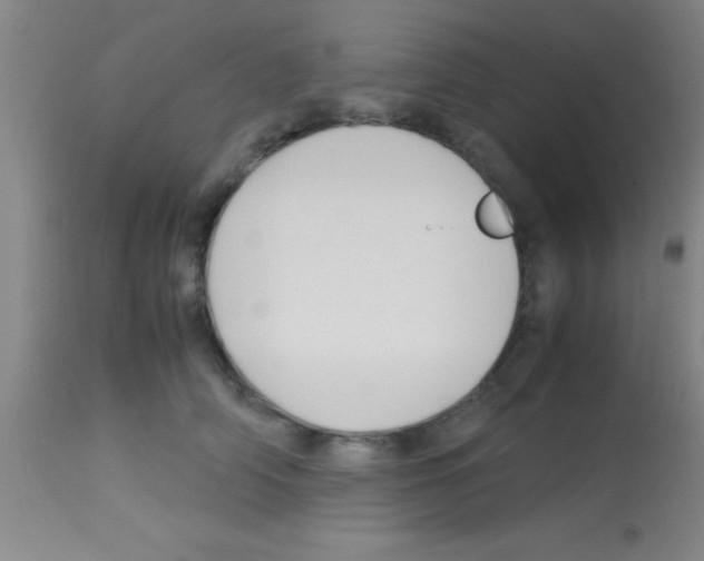 X0000113150706200910161220