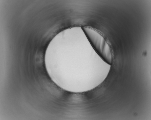 X0000113150708200910161220