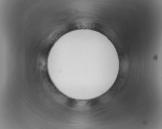 X0000113150709200910161220