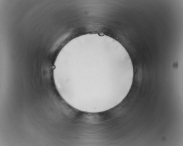 X0000113150712200910161220