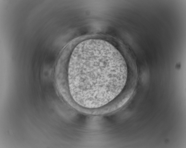 X0000113150716200910161220