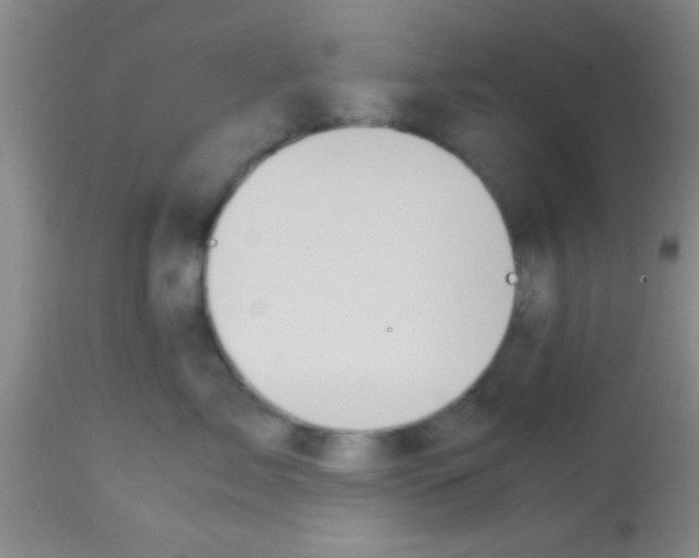 X0000113150717200910161220