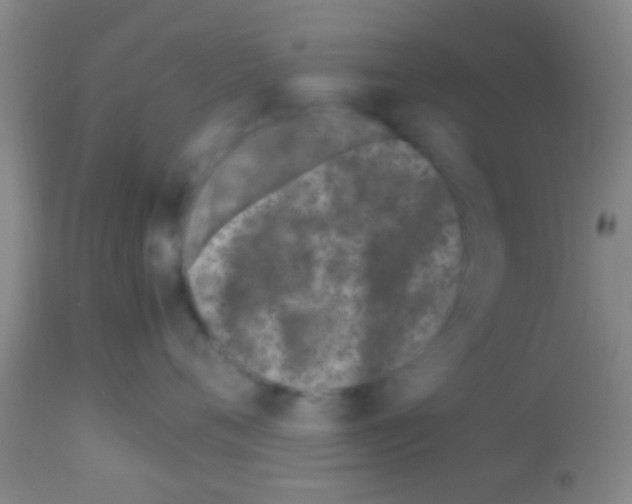 X0000113150720200910161220