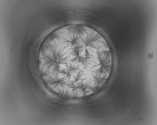 X0000113150721200910161219