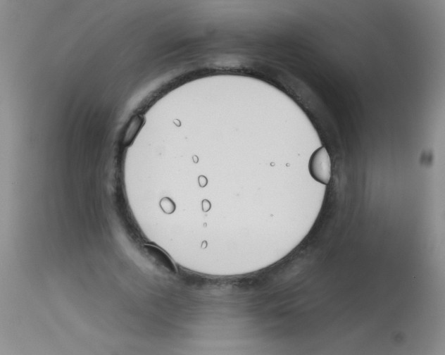 X0000113150728200910161219