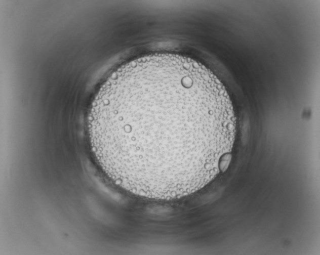 X0000113150729200910161219