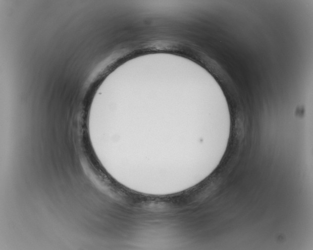 X0000113150730200910161219