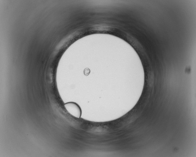 X0000113150731200910161219