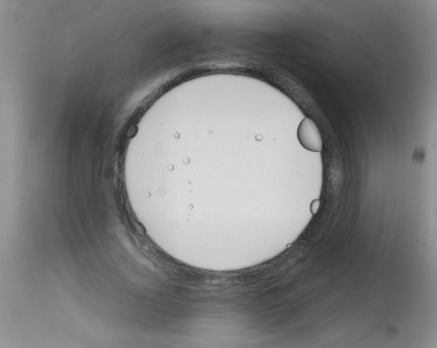 X0000113150732200910161219