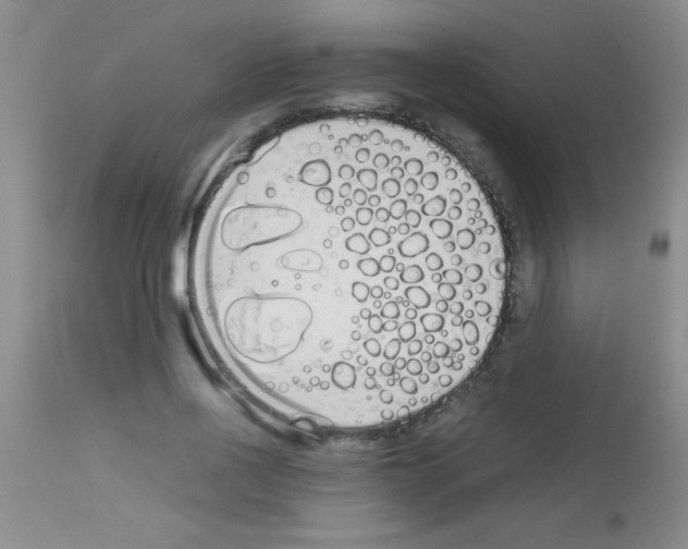 X0000113150734200910161219