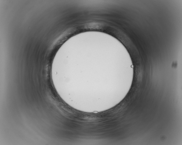 X0000113150735200910161219