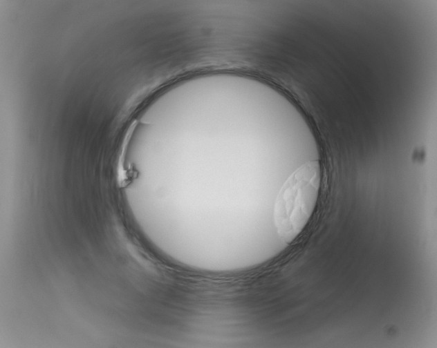 X0000113150736200910161219