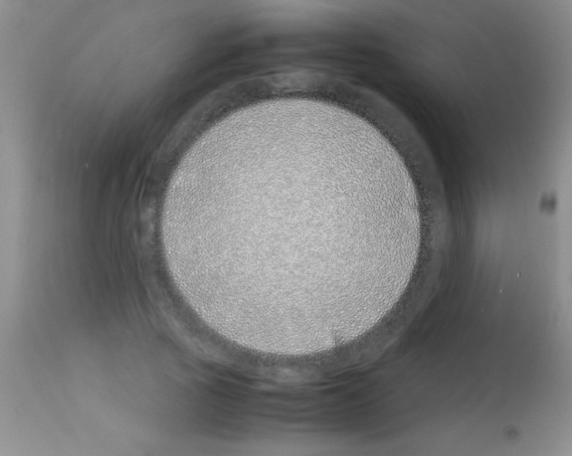 X0000113150737200910161220