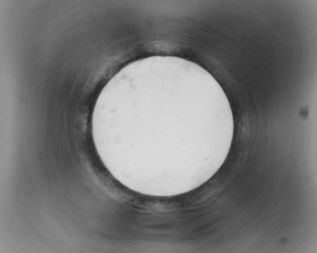 X0000113150739200910161220