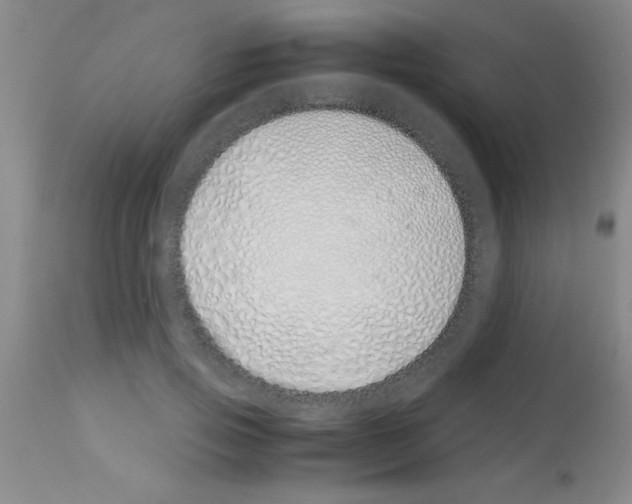 X0000113150741200910161220