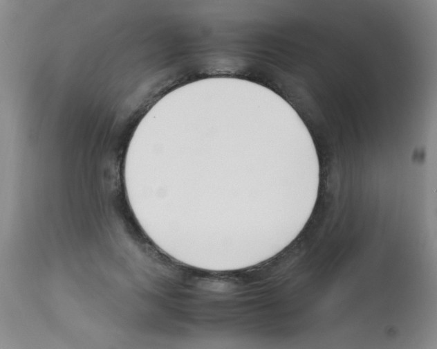 X0000113150743200910161220