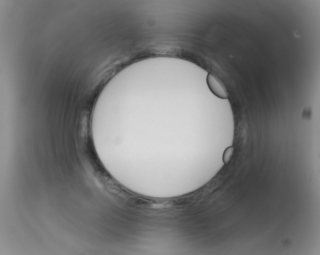 X0000113150744200910161220