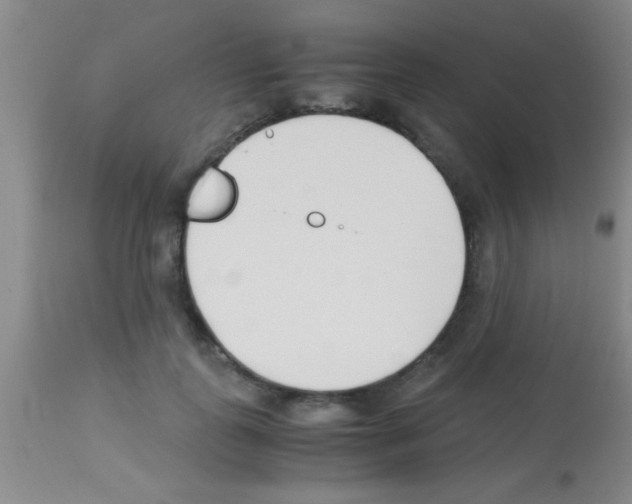 X0000113150747200910161220