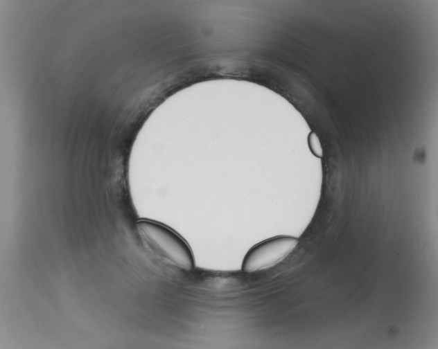 X0000113150748200910161220