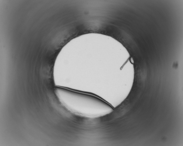 X0000113150750200910161220