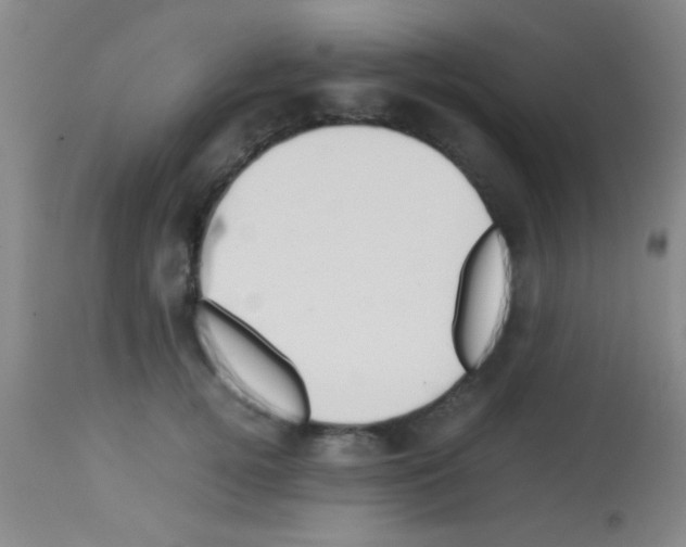 X0000113150752200910161220