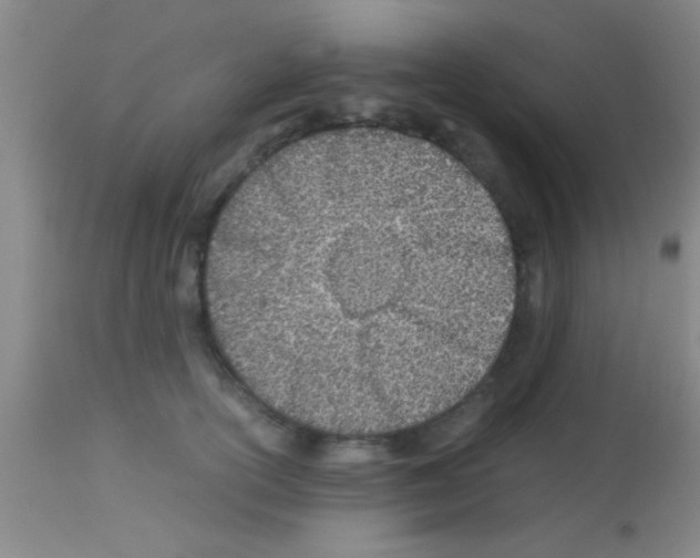 X0000113150754200910161220