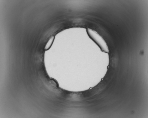 X0000113150756200910161220