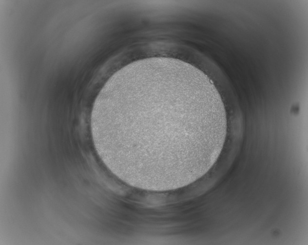 X0000113150757200910161220