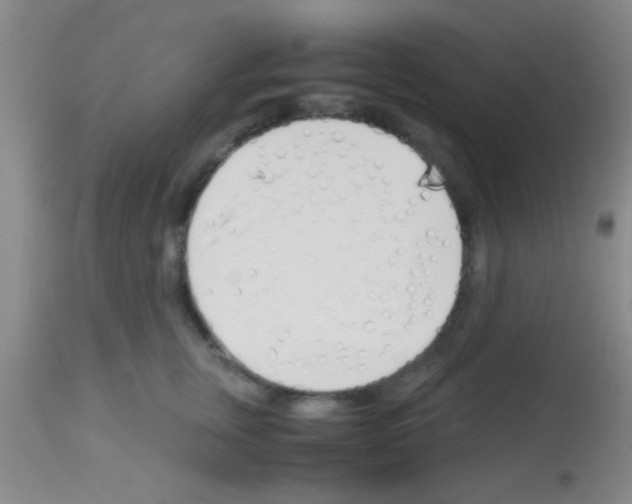 X0000113150759200910161220