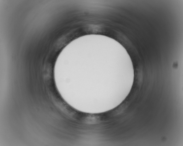 X0000113150760200910161220