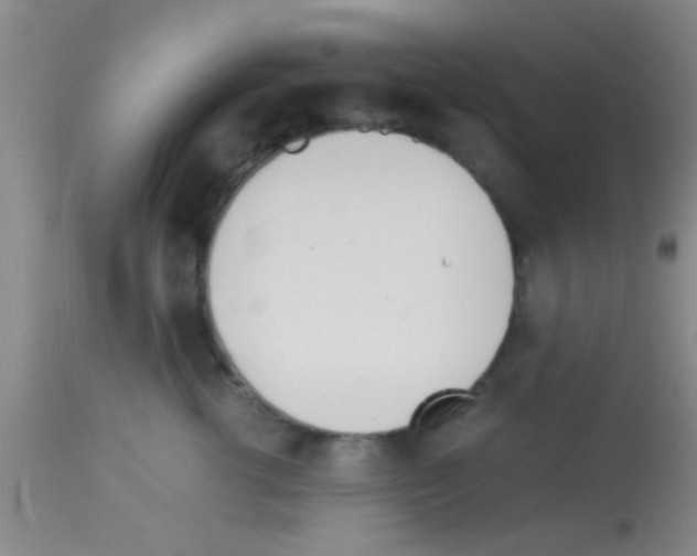 X0000113150762200910161220