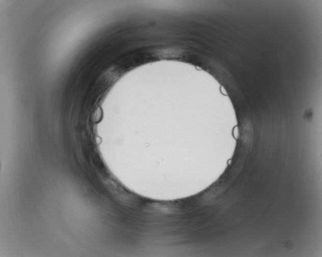 X0000113150763200910161220