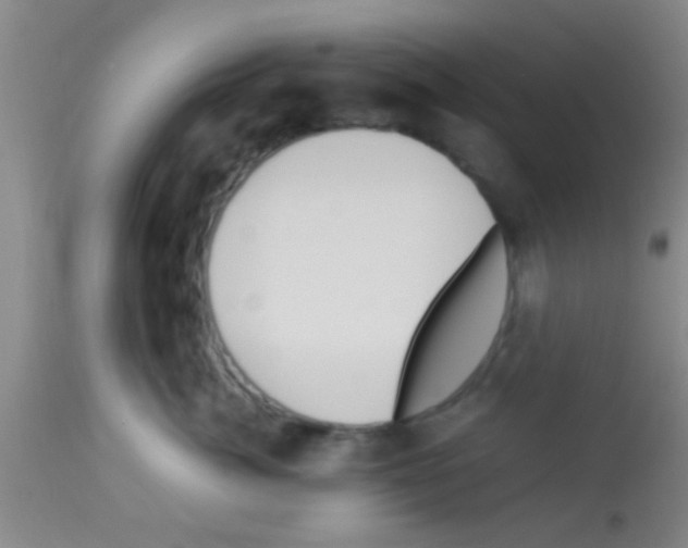 X0000113150764200910161220