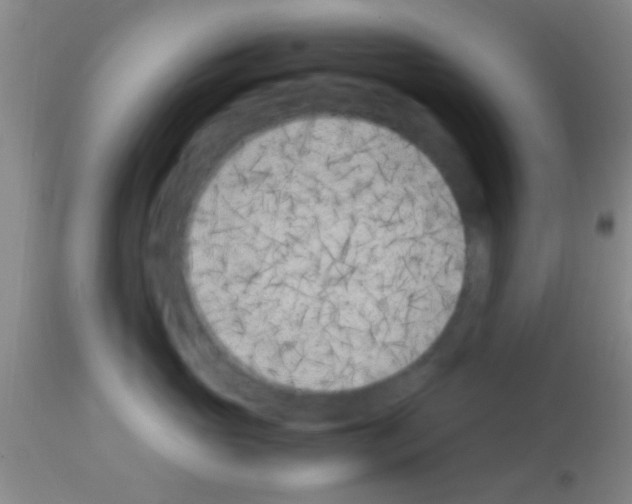 X0000113150765200910161220