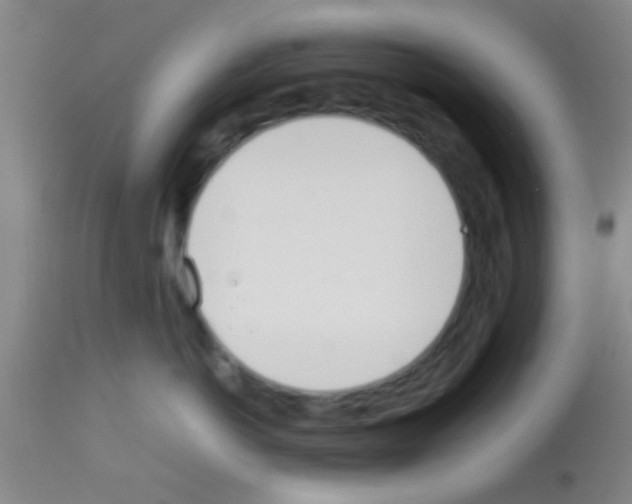 X0000113150766200910161220