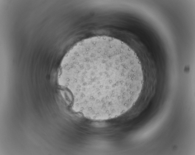 X0000113150767200910161220