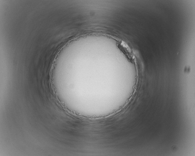 X0000113150769200910161219