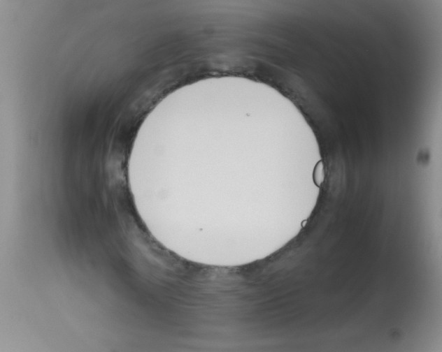 X0000113150770200910161219