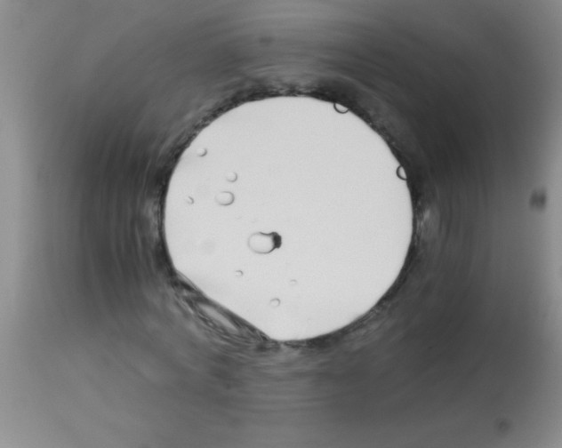 X0000113150772200910161219