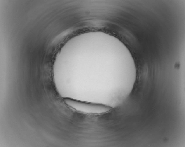 X0000113150773200910161219