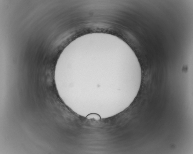 X0000113150774200910161219